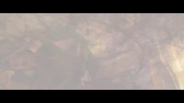 Домовенок Кузя  Трейлер (рус.)