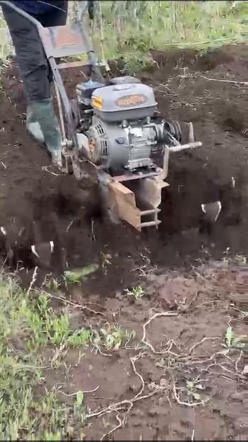 Мотоблок в деле