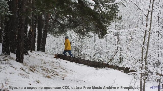 Этот клип - как волшебство, в которое хочется верить! - B Roll -- Chad Crouch -- Motion