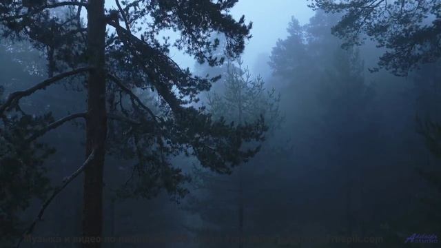 Пейзажи говорят с душой через эти ноты - Untitled -- Quint Baker -- Psychic Catz Enochian Girls