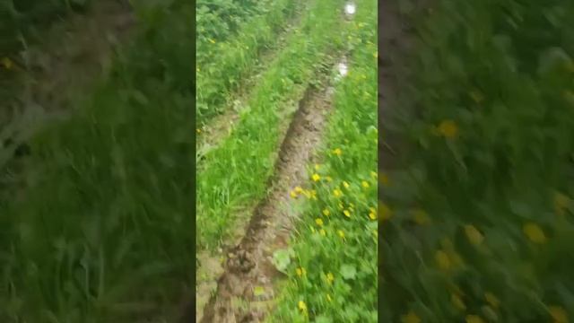 1000021661.mp4
