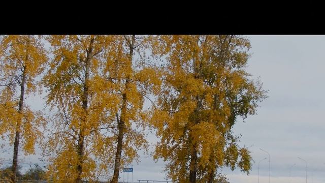 Вот моя деревня