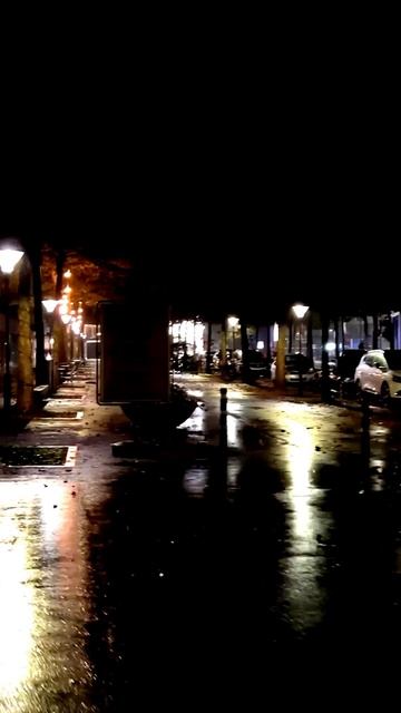 Камера засняла редкий случай
