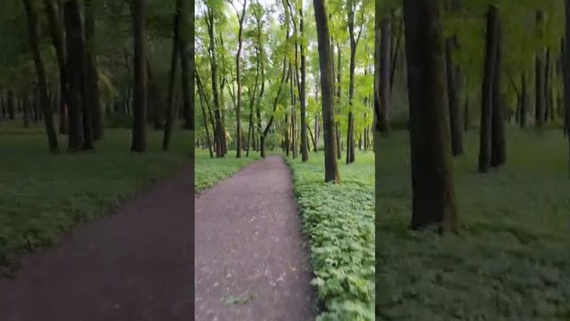 Плюшки квантового перехода