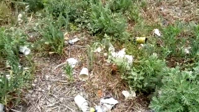 в какую сторону мотать гениталиями???