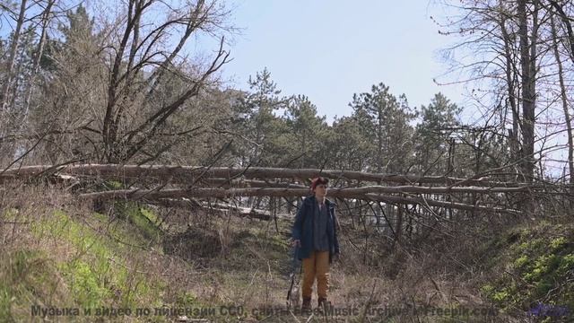 Лес под таким звуком кажется бесконечным и живым - Trust -- Kirk Osamayo -- Season Two (BLUE)