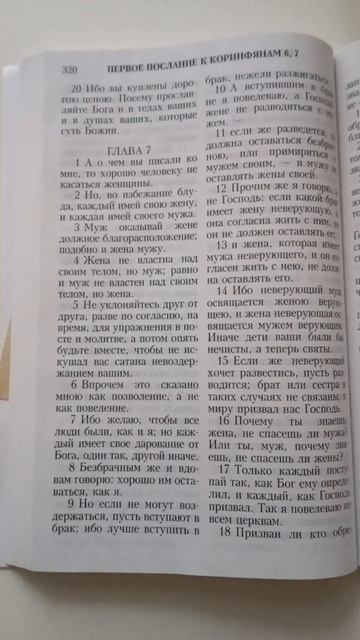 Стих моя несовершеннолетняя свинья.