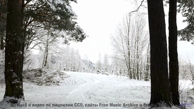 Эта мелодия синхронизирует хаос - услышьте порядок! - Nuclear Fusion Generator (ID 801) -- Lobo Loco
