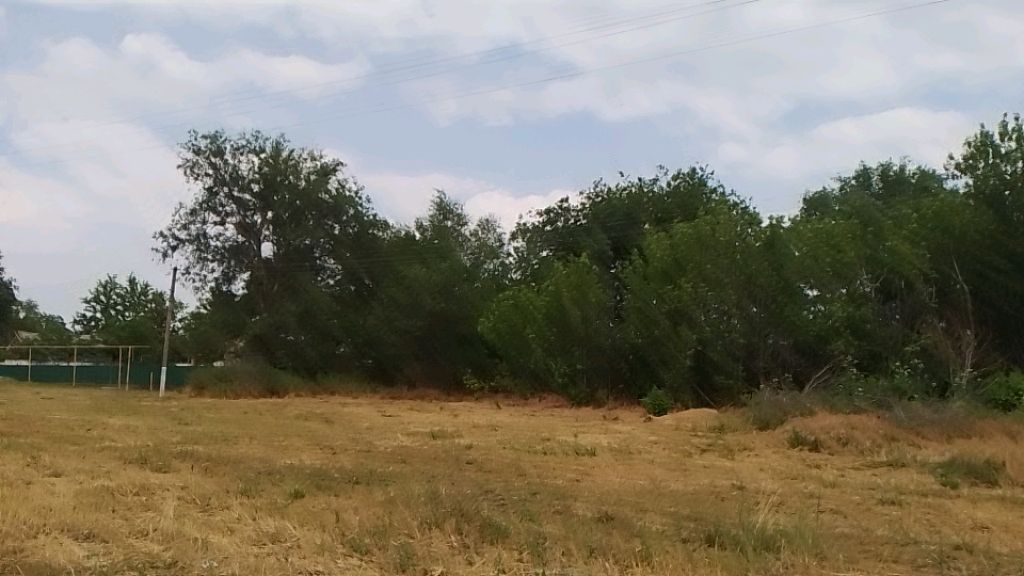 гуляем в лесках и на речке