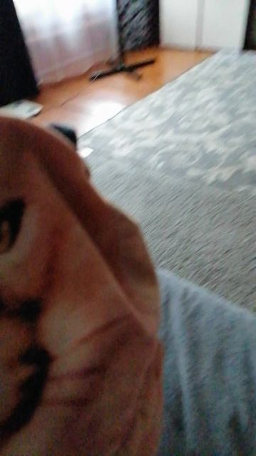 VID_20250612_120511.mp4