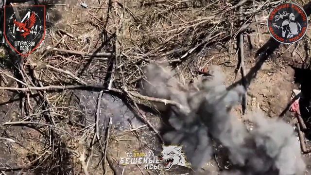 Первое видео боёв на территории Днепропетровской области  Опорник противника в лесном массиве, к...
