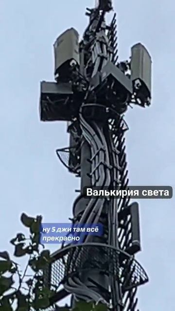 Для чего эти болванки?