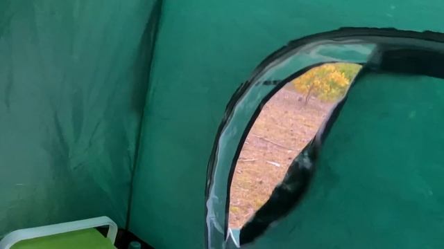 Медведь Напал На Меня В Моей Палатке