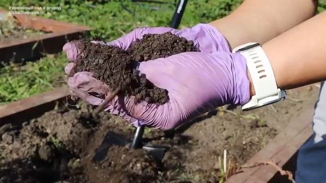 Как опилки делают землю плодородной помогают боротьс