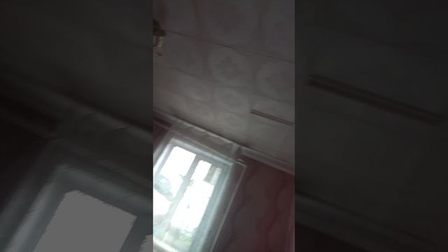 VID_20250612_135852.mp4