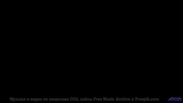 Музыка заставит сердце биться чаще здесь - LIE -- Taylor Poe -- Quiet Sound of Disappearing