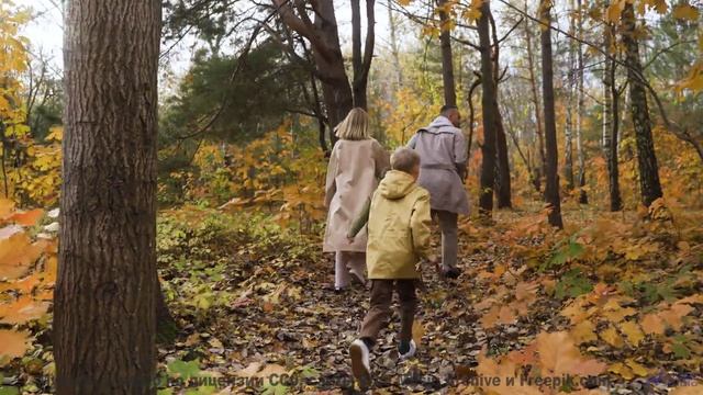 Кадры, снятые дронами будущего - невероятные технологии! - Happy Ending -- Scott Holmes Music -- Hap