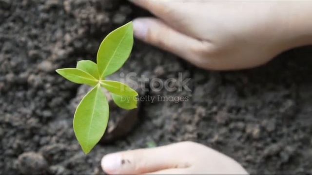 "Посади в себе зëрнышко и расти..."