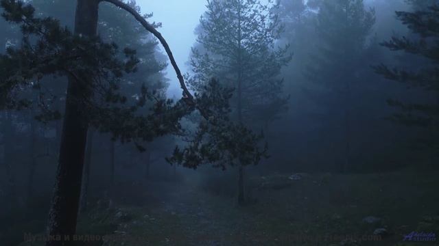 Эти пейзажи и музыка вытряхнут душу начисто - The-Good-One -- Ketsa -- The Lost Files