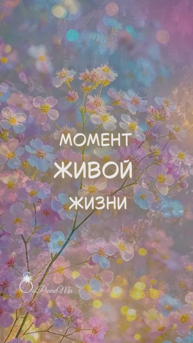 Момент Живой Жизни #Saiprana Ma #жизнь #пробуждение #любовь
