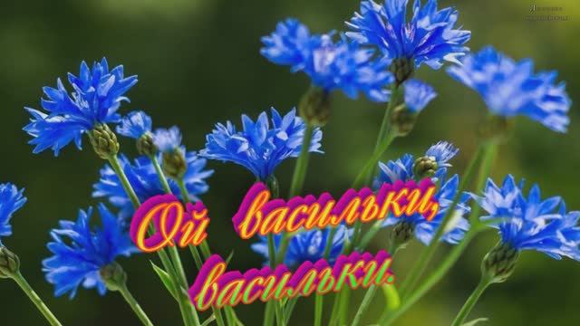 Ой васильки, васильки-Автор-Людмила Бурачевская-вокал-Alexander Svobodny- -Музыка Любви и Надежды