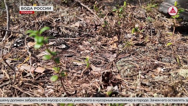 Субботник на озере "Голубое" в Покачах