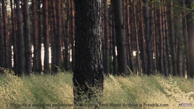 Эти кадры + эта музыка = взрыв эмоций! - Top of the World -- Scott Holmes Music -- Media Music Mix