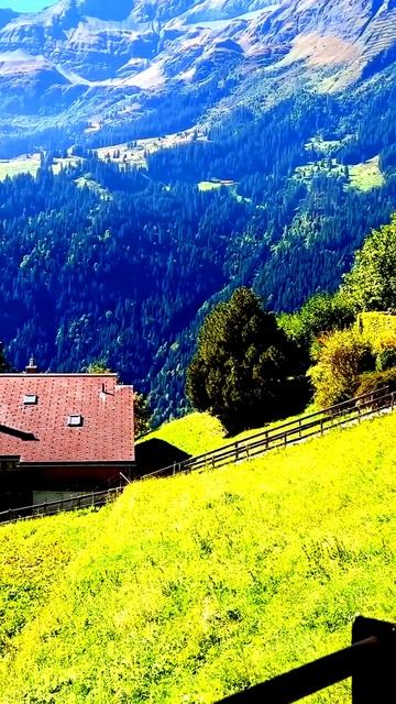 Камера поймала лучшее