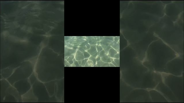 "Сегодня".mp4