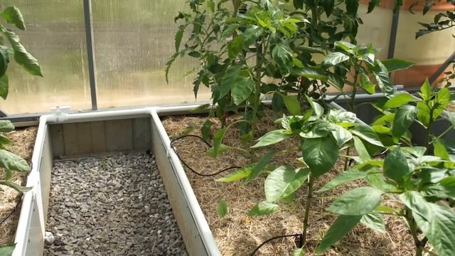 Вечный автоматический капельный полив — улучшенная версия! Сделал и забыл!