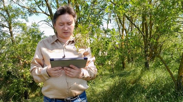 Пророчество о будущем ложном пробуждении