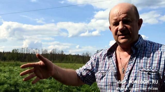Капельный полив — скрытая угроза! Земля становится пустыней!