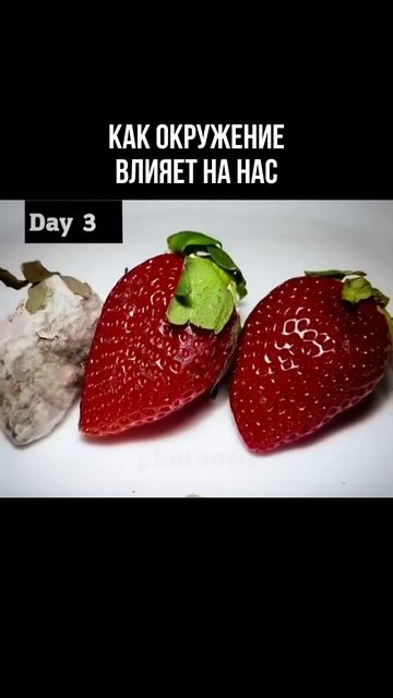 1000433627.mp4
