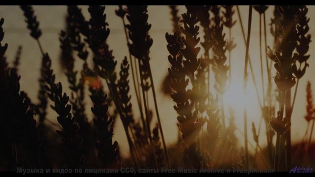 Мелодия, которая заставит вас забыть обо всём, кроме друг друга... - 20 Minute Meditation 12 -- Holi