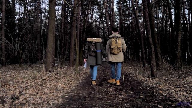 Музыка, которая превращает лес в ваше личное убежище! - Section -- SUPERARE -- VII