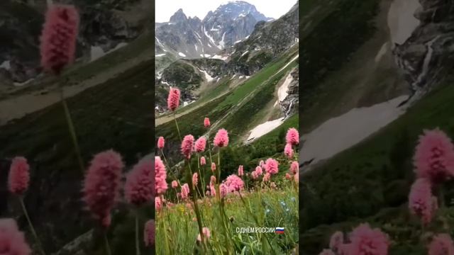 С ДНЁМ РОССИИ 🇷🇺