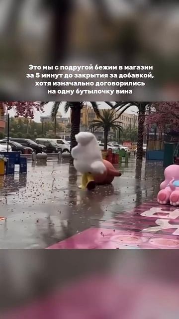 😂😂😂