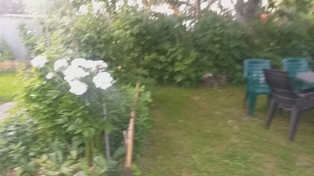 От деревенских забот в городские. Нужен порядок везде.