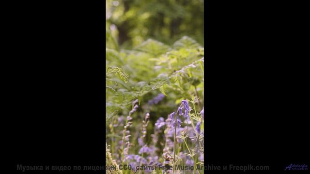 Музыка, которую НЕЛЬЗЯ слушать ночью! - A Secret Garden -- M33 Project -- Breathe