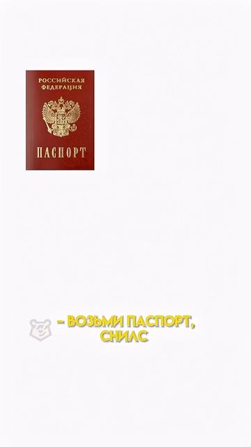 Документы для поступления #умскул #егэ #огэ #онлайншкола
