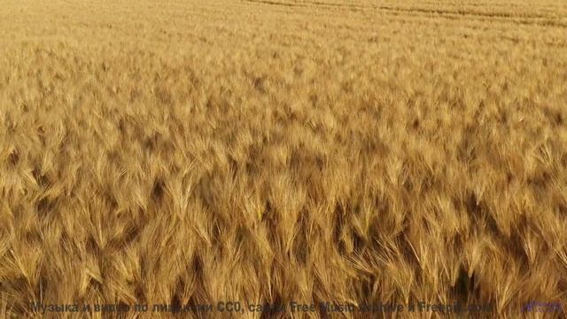 Любовь к природе через музыку! - 20 Minute Meditation 7 -- HoliznaCC0 -- Space - Sleep - Meditation
