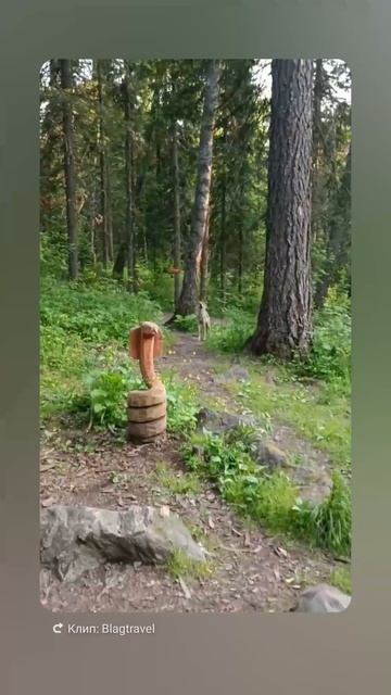 иремель волк