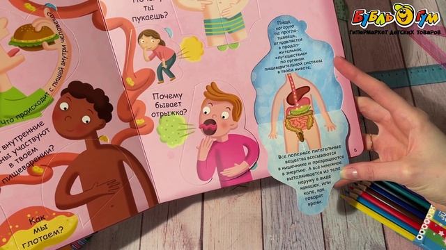 Книга с окошками Мое тело 60окошек