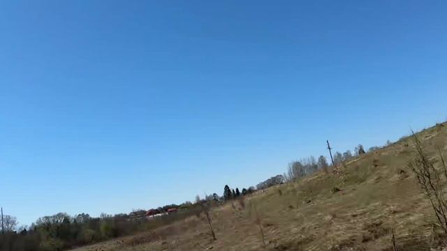 Коп , речка , кости животных , поиск, клад (криповый коп 2