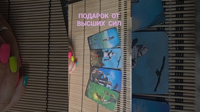 ПОДАРОК ОТ ВЫСШИХ СИЛ