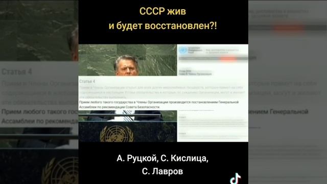 VID_20240522_231741_455.mp4