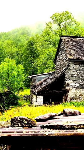 Камера сняла странное совпадение