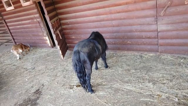 павильон Сельское подворье