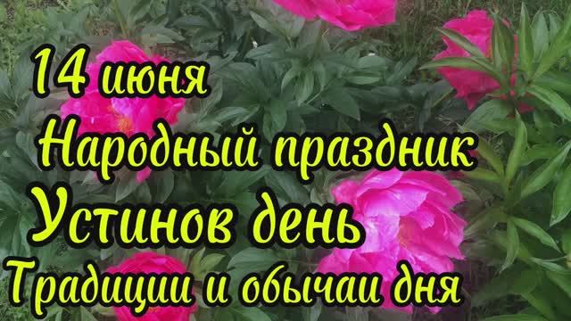 14 июня Устинов день, традиции и обычаи