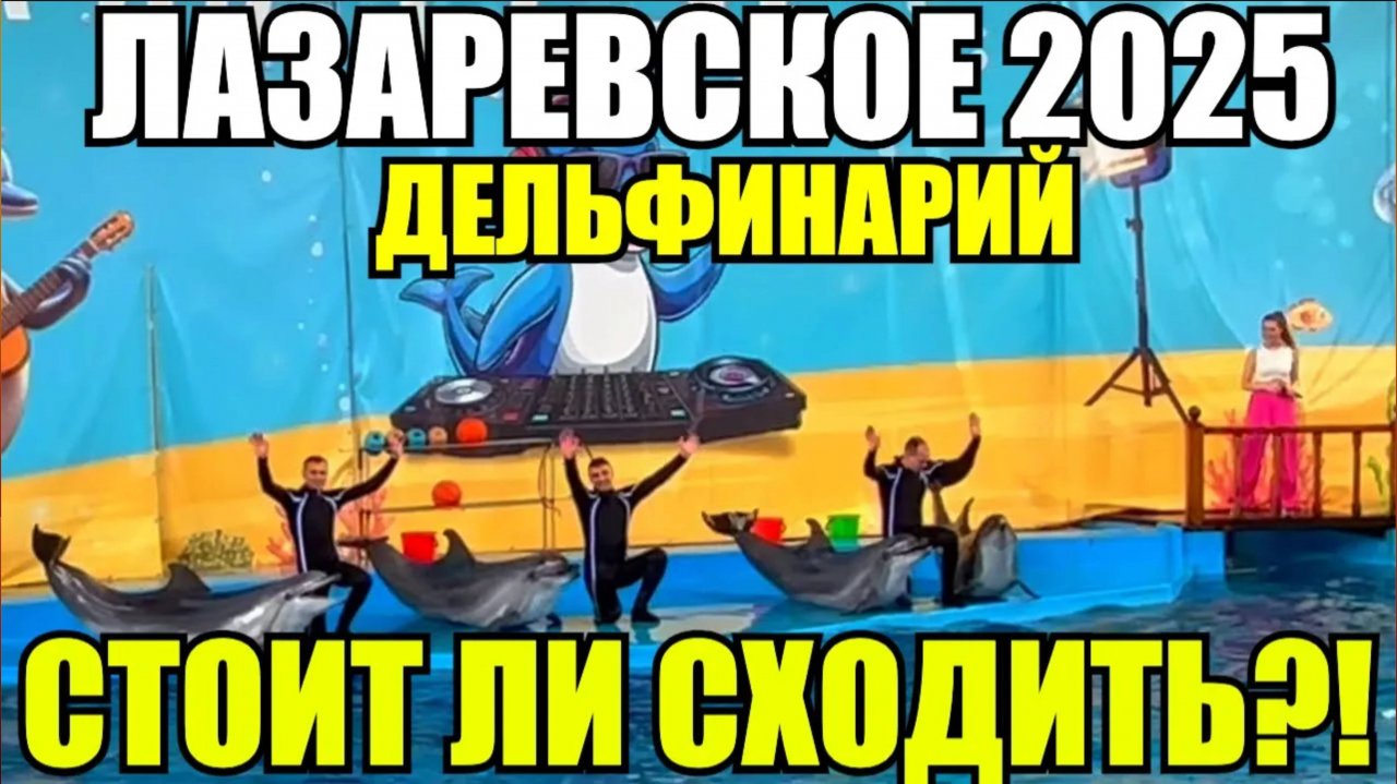 ЛАЗАРЕВСКОЕ 2025/ДЕЛЬФИНАРИЙ,СТОИТ ЛИ СХОДИТЬ? #лазаревское2025 #дельфинарий #влог #обзор #сочи
